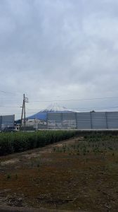 市内で撮影された写真19