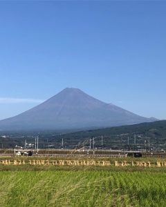 市内で撮影された写真18
