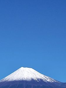 市内で撮影された写真17