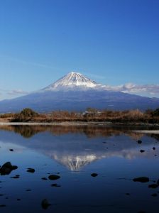 市内で撮影された写真16