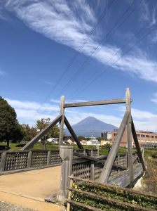 市内で撮影された写真15