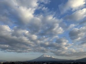 市内で撮影された写真25