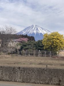 市内で撮影された写真14