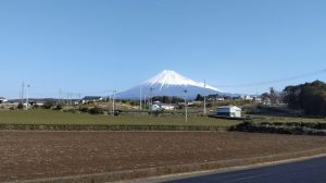 市内で撮影された写真23