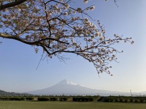 市内で撮影された写真10