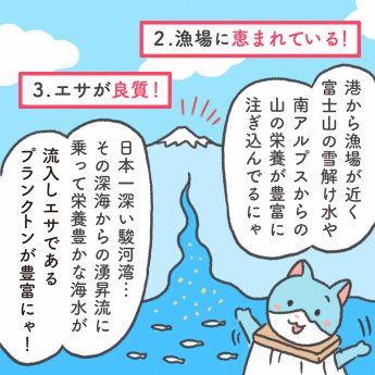 さもにゃんの漫画「田子の浦しらす　ここがすごい！」3