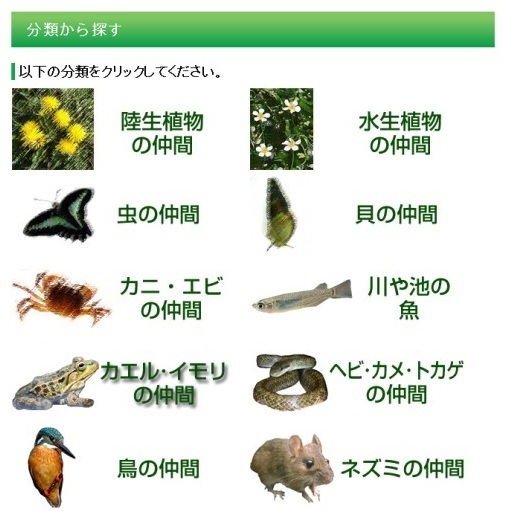 分類から探すページのイメージ