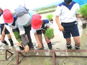 田植えをする子どもたち