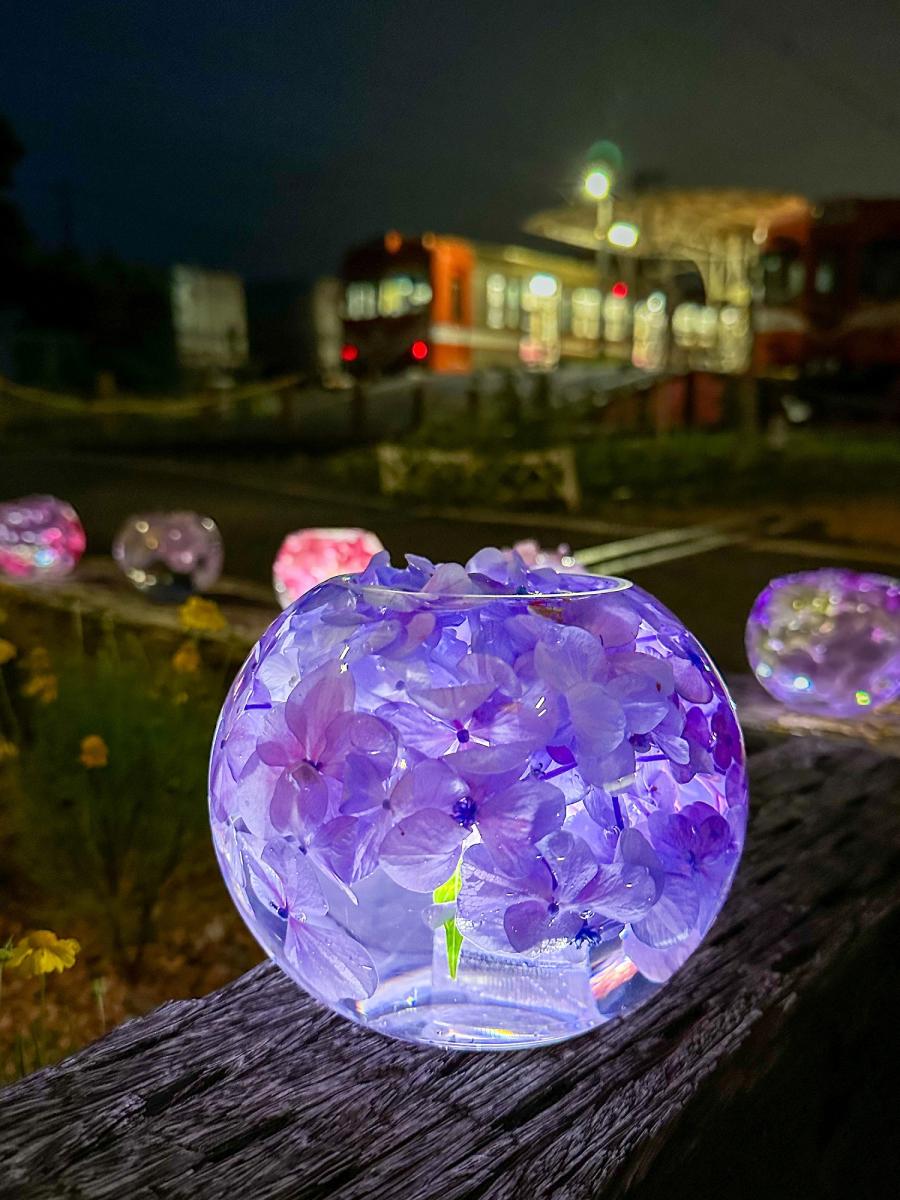 紫陽花灯る岳南江尾駅