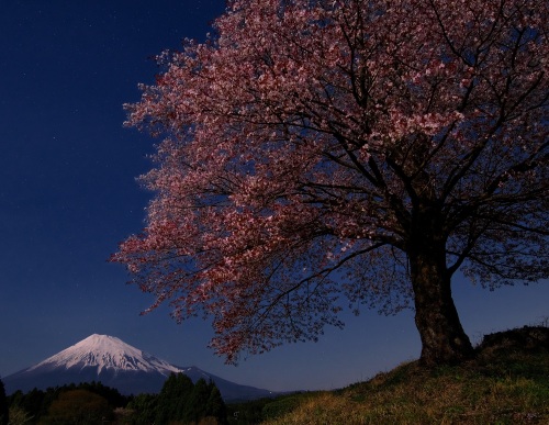 富士山百景写真展グランプリ作品