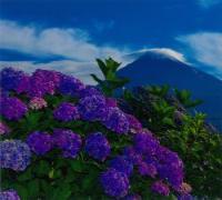 夏の写真2