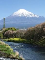 応募写真1