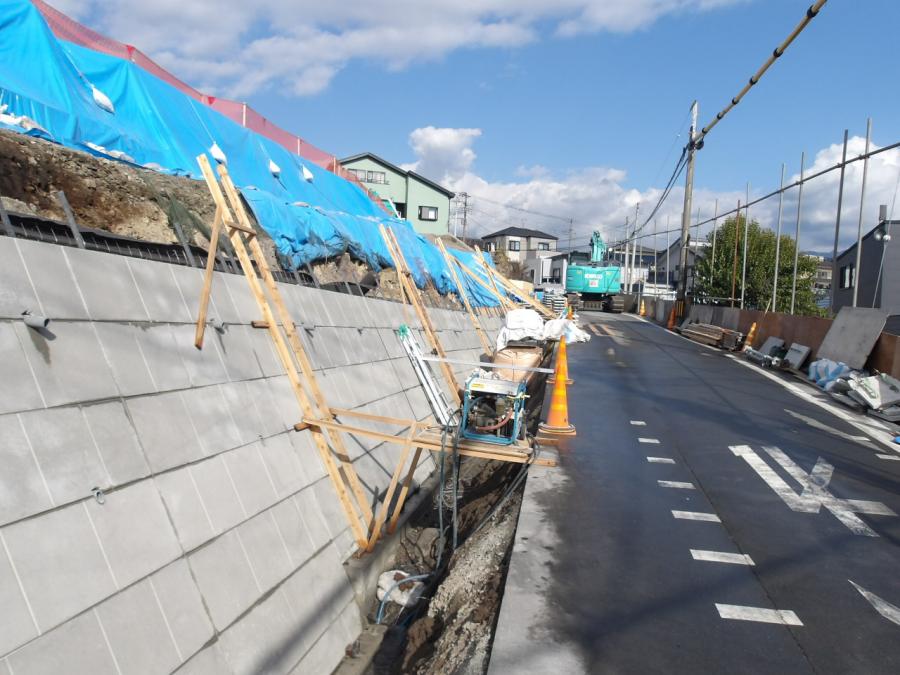 12月10日現在の様子2