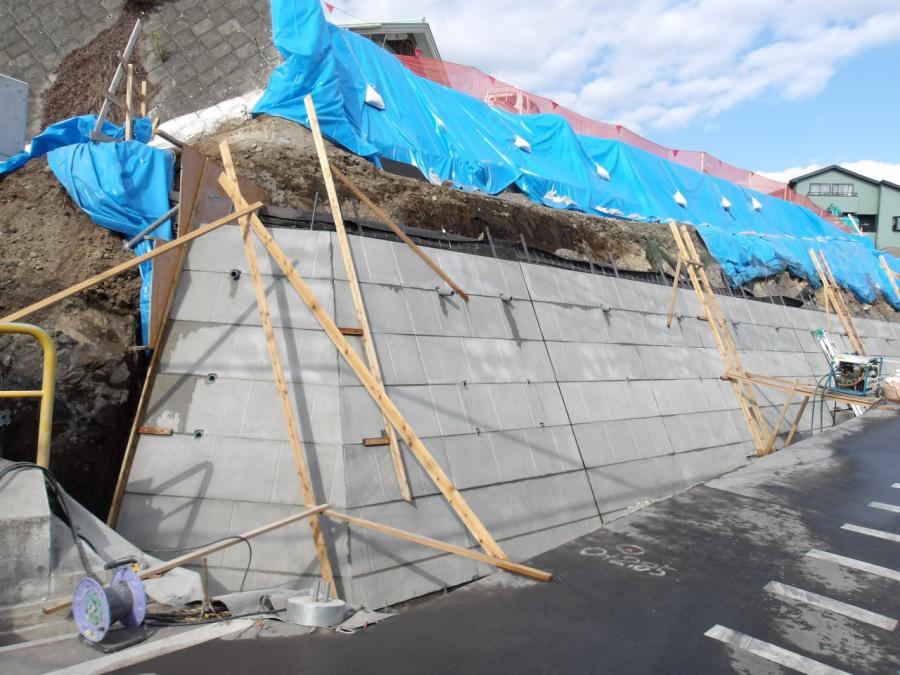 12月10日現在の様子1