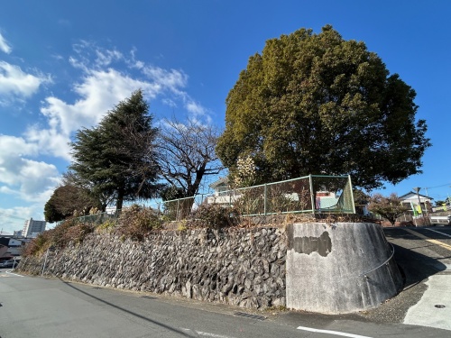 写真　石積擁壁