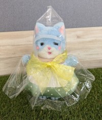 写真　さもにゃん