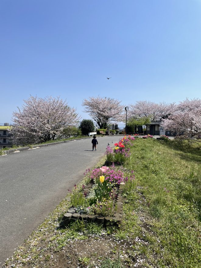 公園を歩く写真