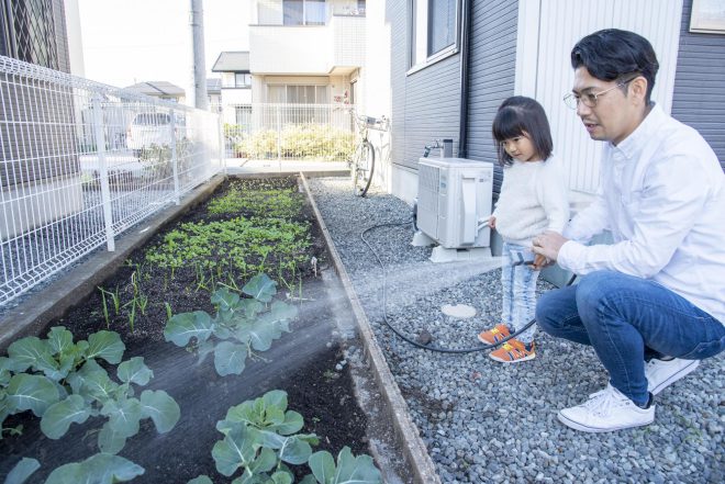家庭菜園の写真
