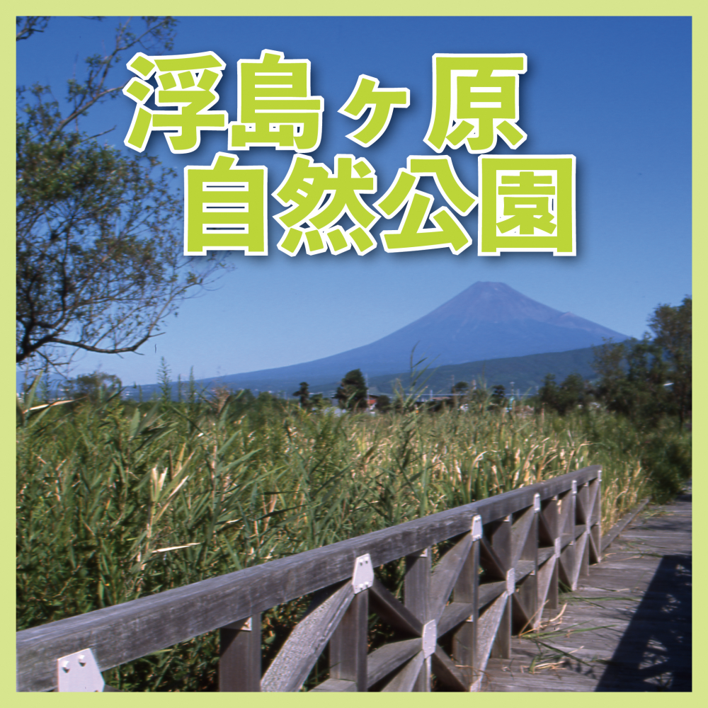 浮島ヶ原自然公園