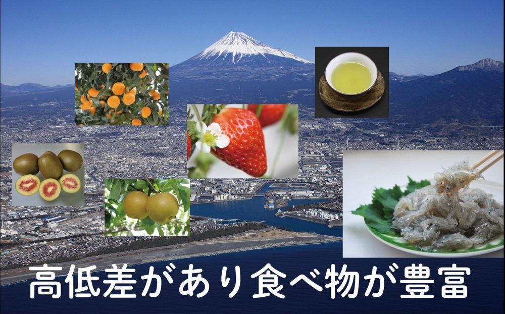 高低差があり食べ物が豊富