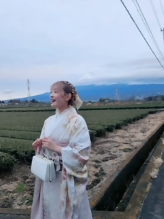 振袖とお茶畑の写真1
