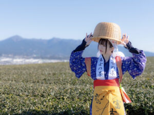 茶娘の写真2