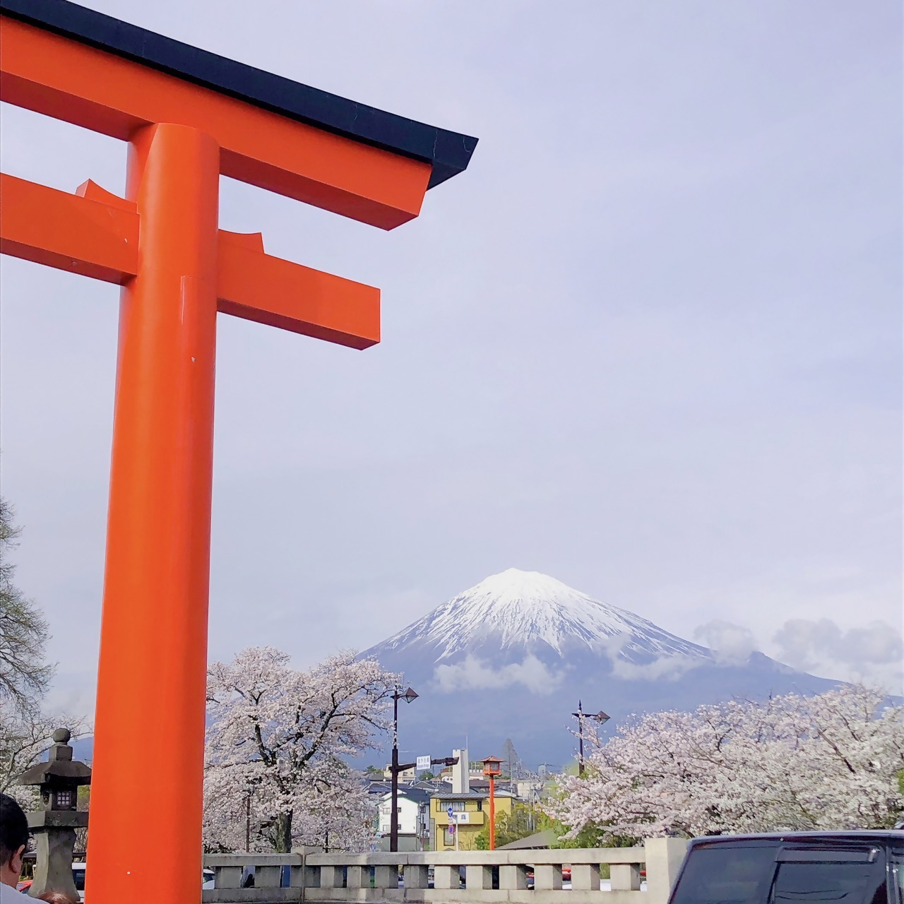 お花見の写真1