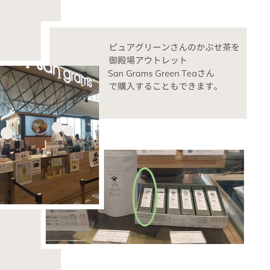 ピュアグリーンさんのかぶせ茶を御殿場アウトレットSan Grams Green teaさんで購入できます