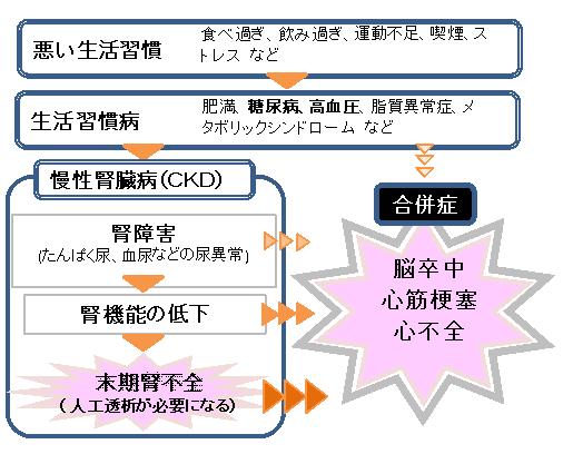 （イラスト）CKDの原因