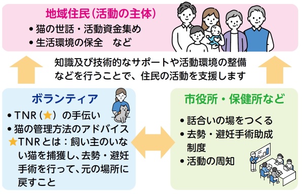 （画像）