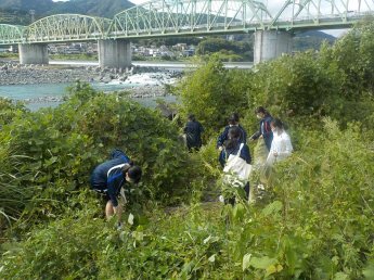 （写真）河原の草むら