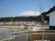 （写真）森林墓園と富士山