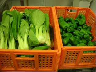 写真　コンテナに移した野菜