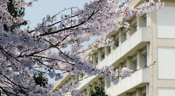 （写真）吉原北中学校