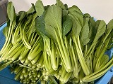 （写真）野菜