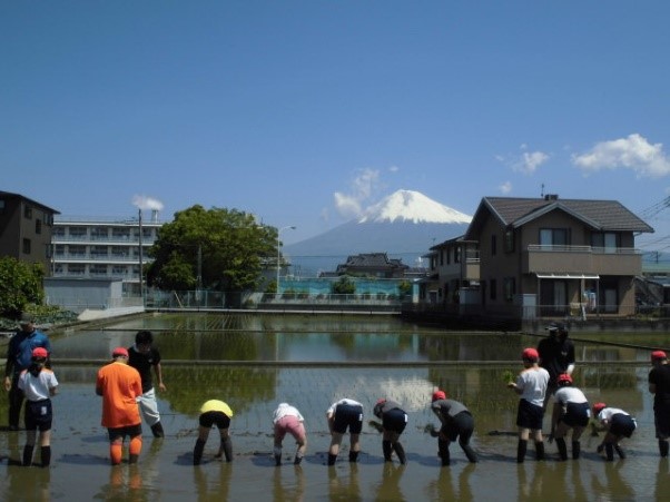 (写真)