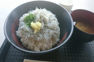 しらす丼の写真