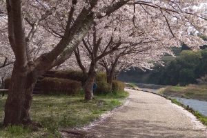 （写真）潤井川親水公園