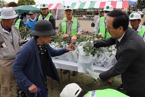 （画像）バラ苗無料配布