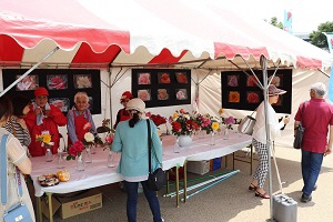 （画像）ばら祭りの会場