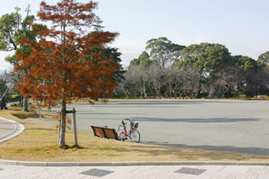 （写真）米の宮公園広場