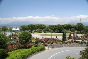 （写真）公園全景