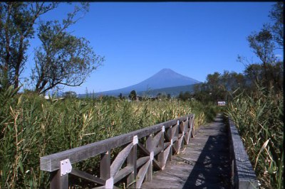 （写真）浮島ヶ原自然公園1