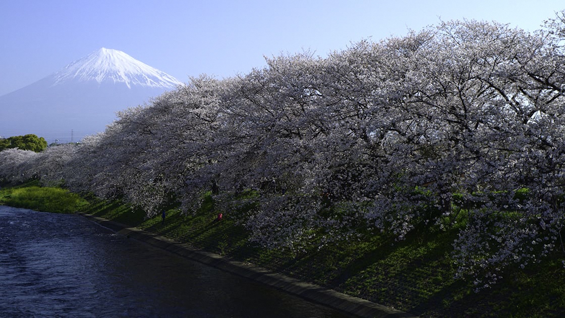 「龍巌淵」の風景