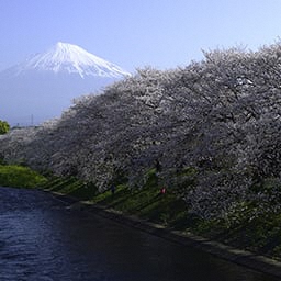 「龍巌淵」のサムネイル写真