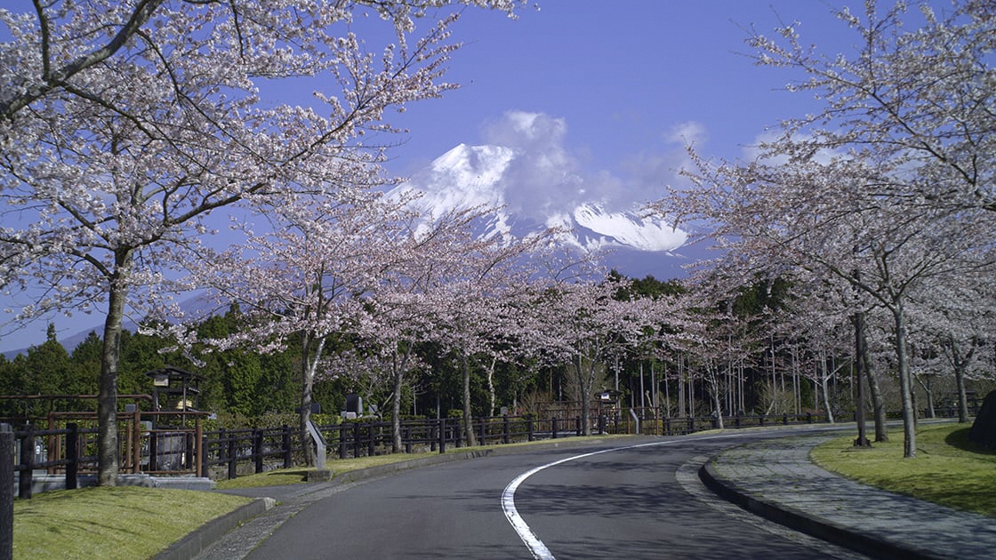 「富士市森林墓園」の風景
