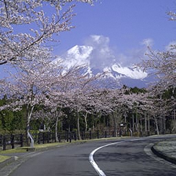 Fuji City Forest Cemetery Park