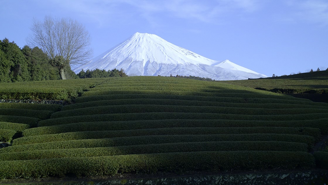 「大淵笹場」の風景