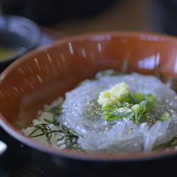 Tagonoura Shirasu (Young sardines)