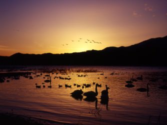 【写真】御所湖